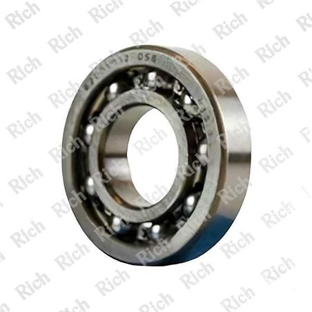 6205 B12 D56 RICH 25x56x12