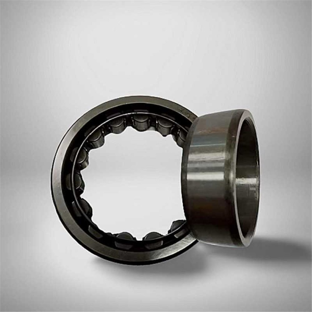 NU 2204 E TN RICH  20x47x18