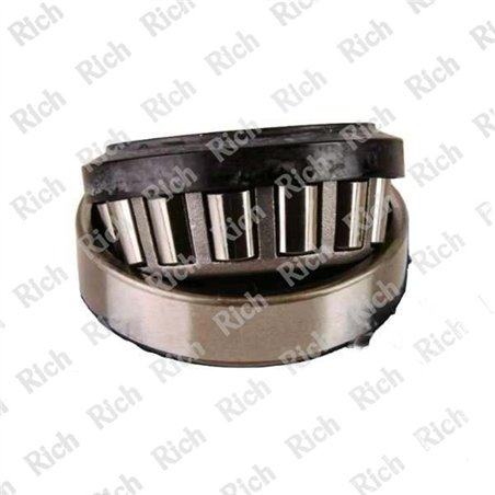 R 30304 A JR RS RICH 20x52x16,25
