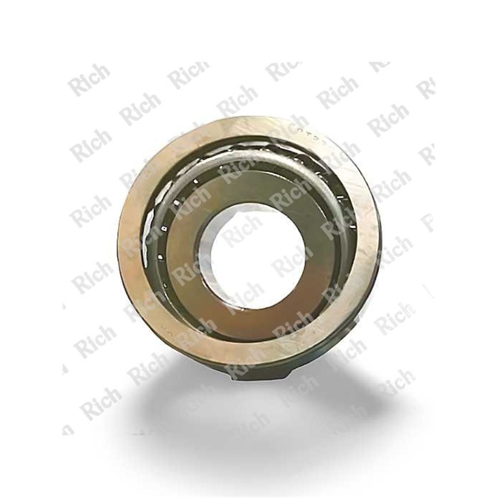 RST 2358 RICH 23x58x17,25