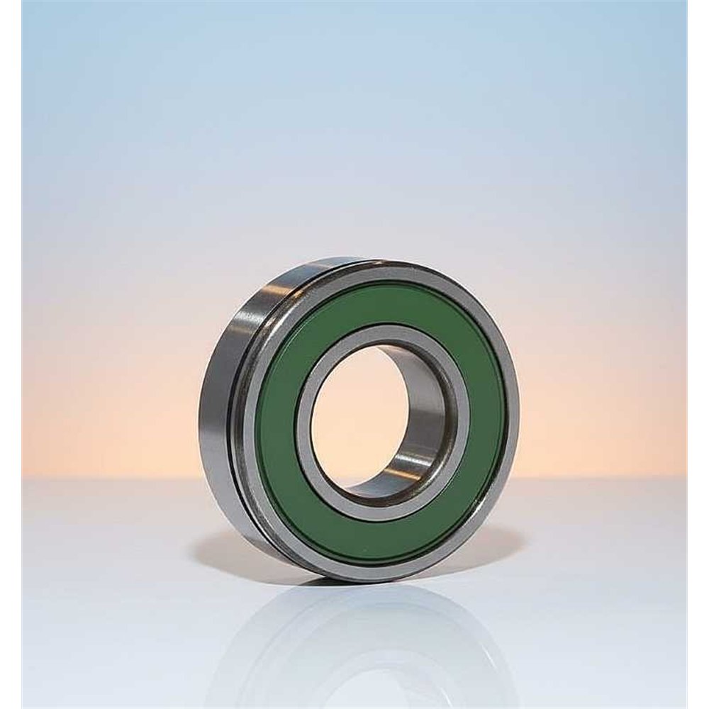 RD-M1025 N C3 (25TM10NXC3) RICH 25x52x15
