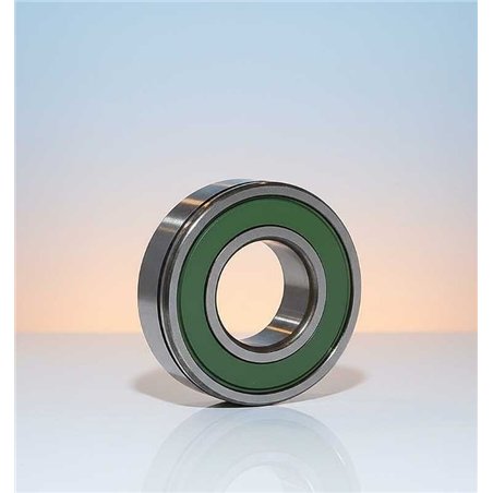 RD-M1025 N C3 (25TM10NXC3) RICH 25x52x15