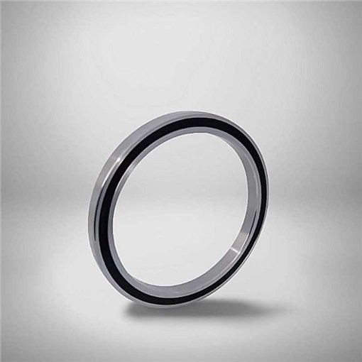 SS-16100-2RS RICH 10x28x8