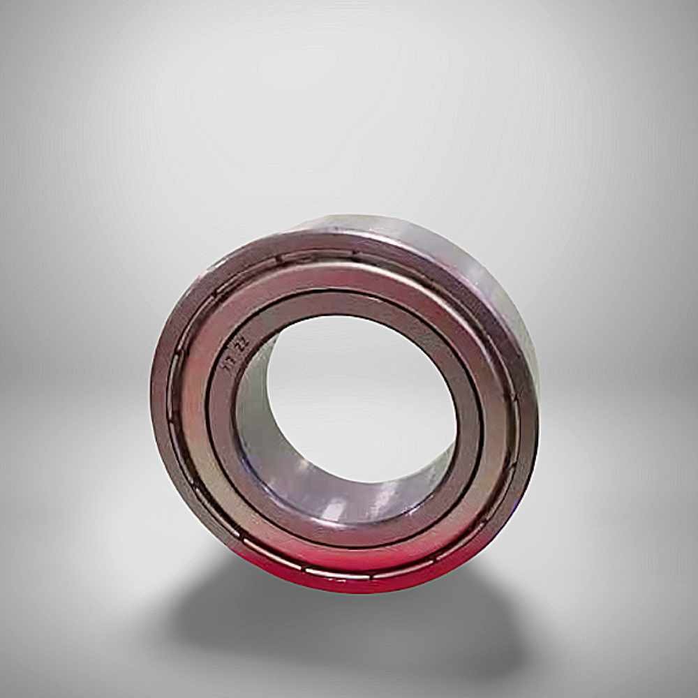3806 ZZ RICH 30x42x10