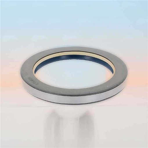 Oil Seal RICH 90x120x13 COMBI NBR