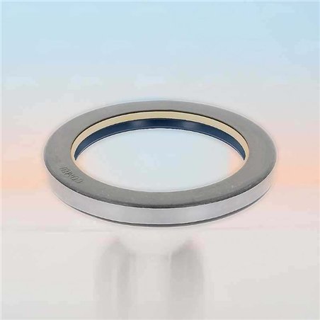 Oil Seal RICH 90x120x13 COMBI NBR