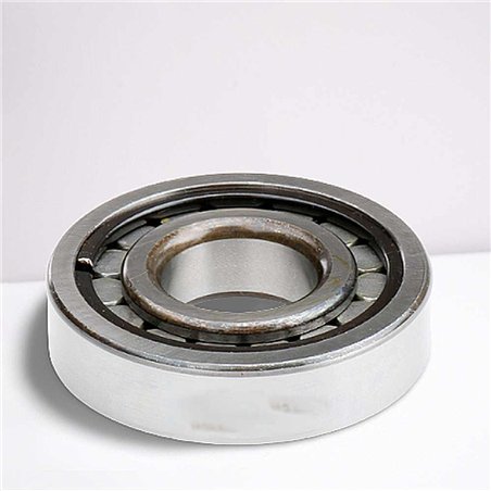 RD050615 (SC050615VC3) RICH 24,99x61,99x15,5