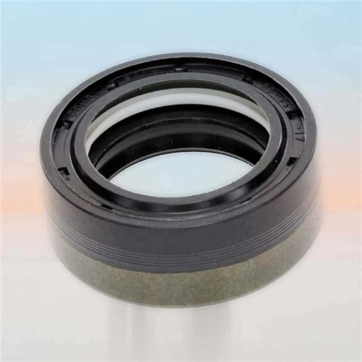 Oil Seal RICH 30x44x17 COMBI NBR