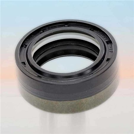 Paraolio RICH 30x44x17 COMBI NBR