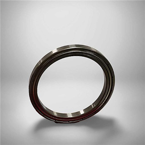 61816-ZZ RICH 80x100x10