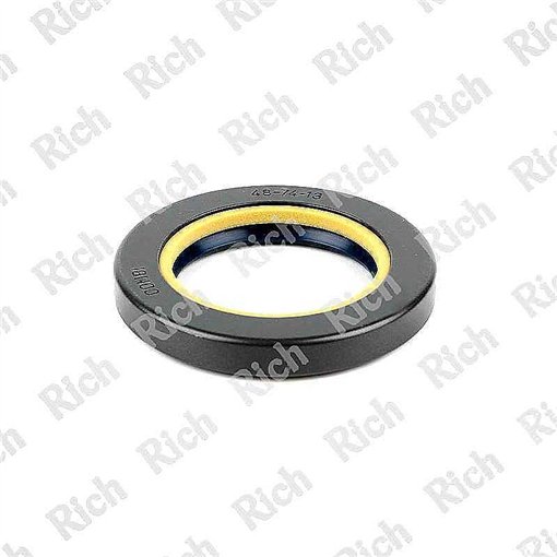 Oil Seal RICH 48x74x13 COMBI NBR