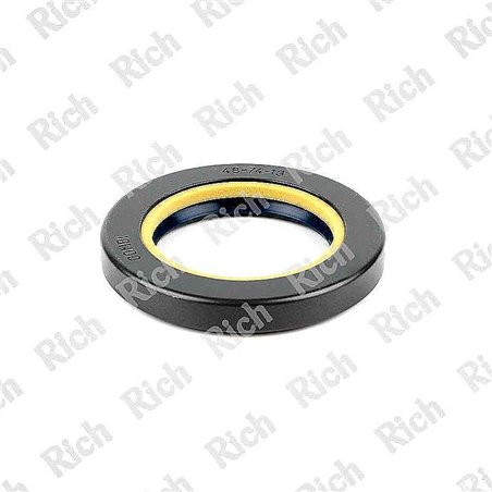 Paraolio RICH 48x74x13 COMBI NBR