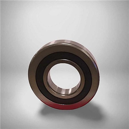 RLS 10 2RS RICH 31,75x69,85x17,463