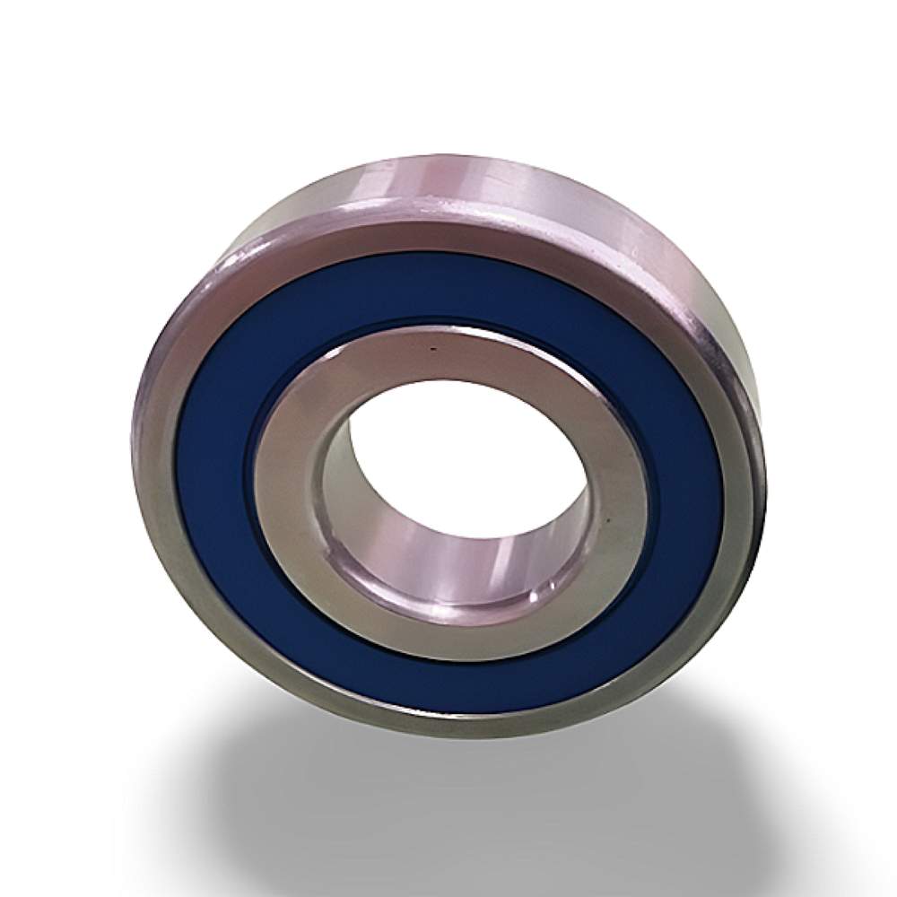 SS 6909-2RS RICH 45x68x12