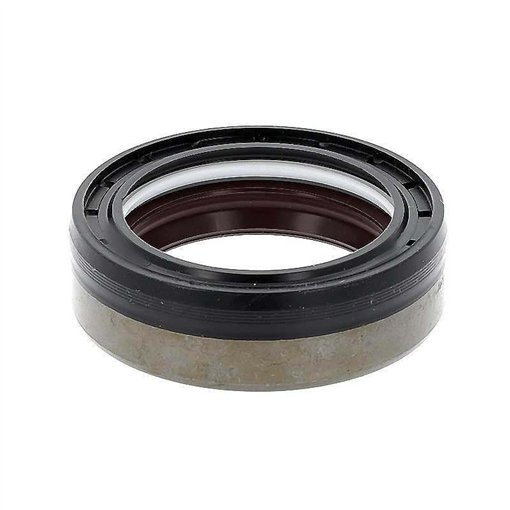 Oil Seal RICH 48x65x19 COMBI FPM