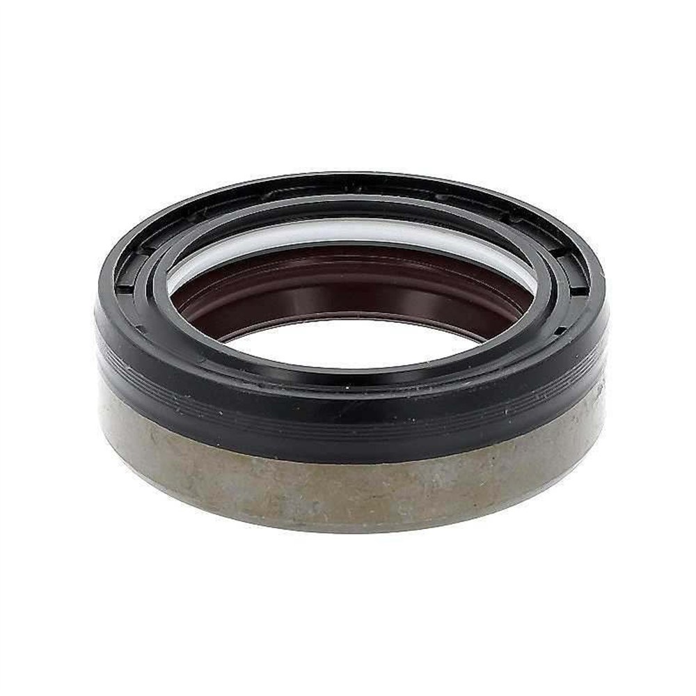 Oil Seal RICH 48x65x19 COMBI FPM