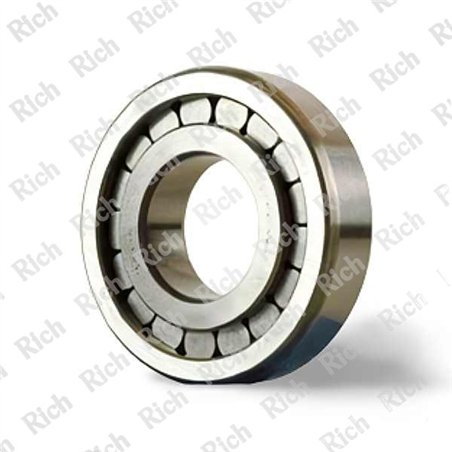 RC 19034 RICH 40x90x23
