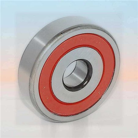 SX0344 2RS RICH 17x62x17,6
