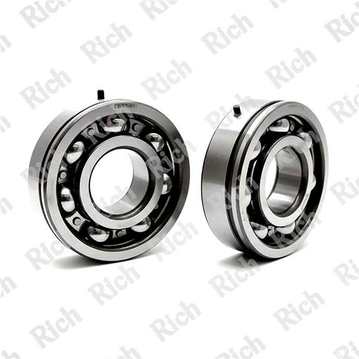 83464 R SH2-9T CS30 RICH 25x62x18