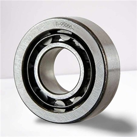 F-95066.02 RICH 15x35x11