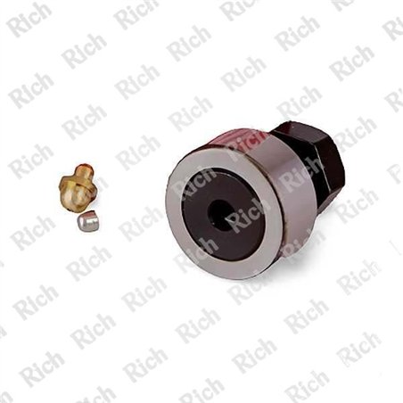 CF10-1R-LLB RICH 10x26x12