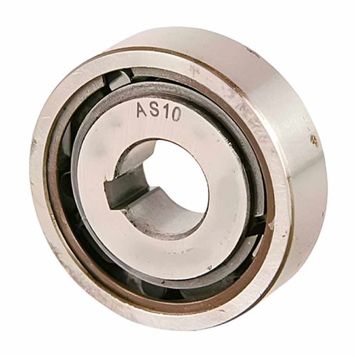 AS 10 RICH 10x30x9 |Freewheel Clutch