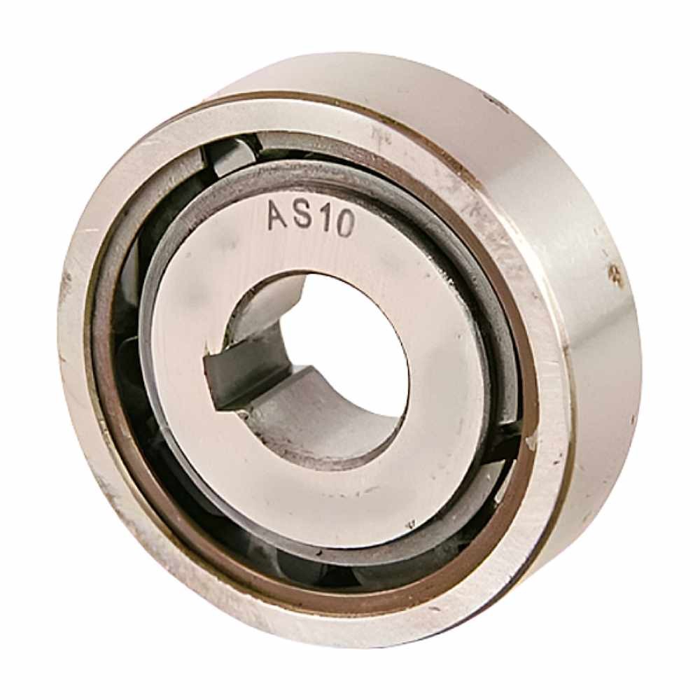AS 10 RICH 10x30x9 |Freewheel Clutch