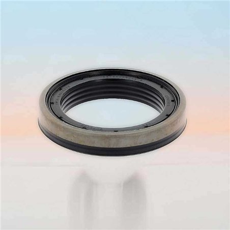 Oil Seal RICH 56x80x13/14,5 KASSETTE NBR