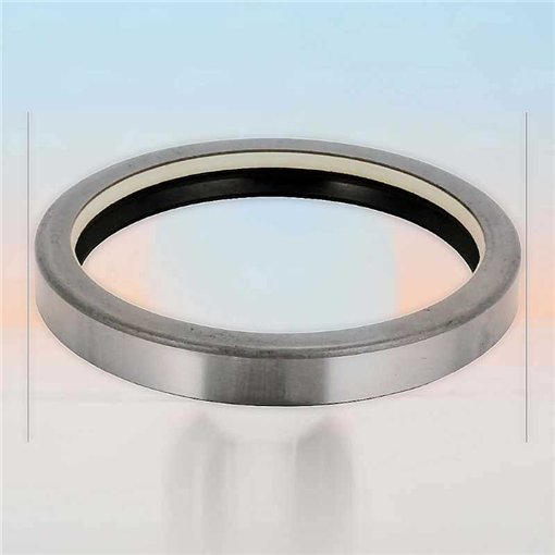 Oil Seal RICH 110x130x16 COMBI NBR