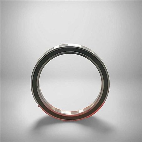 6819-2RS RICH 90x115x13