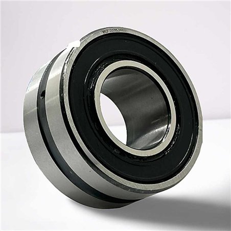 BS2-2205-2RS RICH 25x52x23
