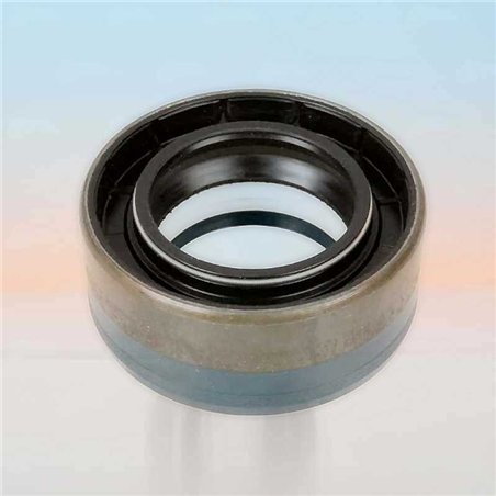 Paraolio RICH 40x65x27,5 COMBI NBR