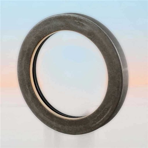 Oil Seal RICH 95x130x16 COMBI NBR