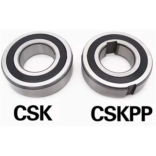 CSK 25 RICH 25x52x15