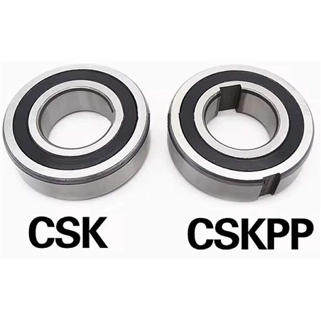 CSK 25 RICH 25x52x15