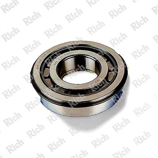 NUP 310 E NR C3 RICH 50x110x27