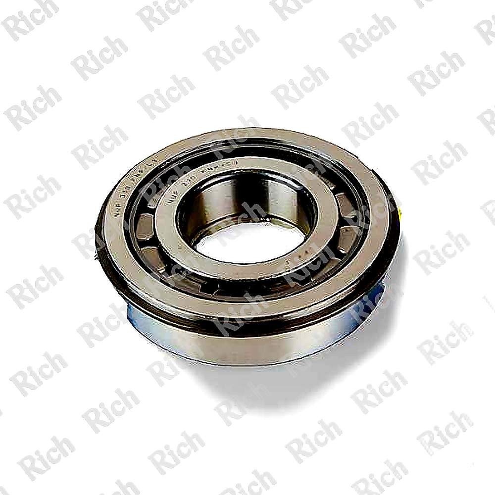 NUP 310 E NR C3 RICH 50x110x27