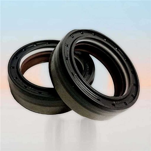 Oil Seal RICH 40x55x18 COMBI NBR