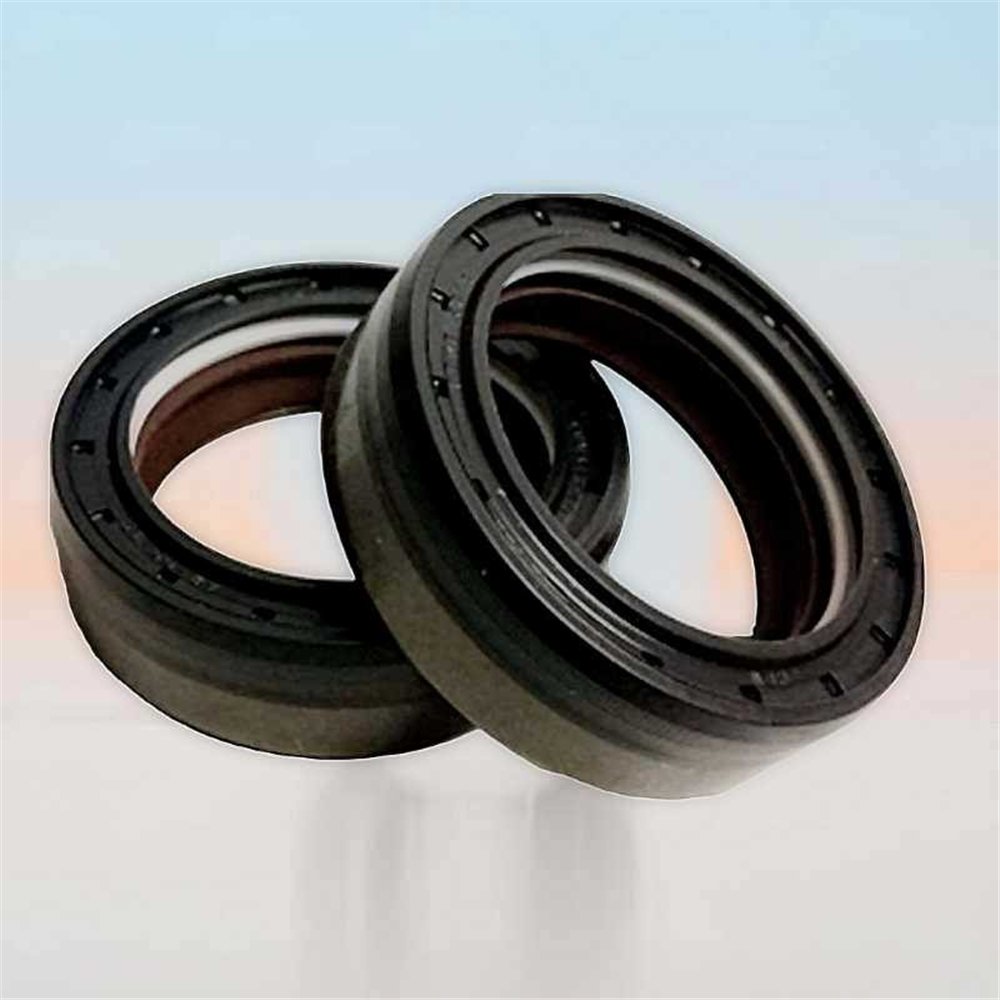 Oil Seal RICH 40x55x18 COMBI NBR