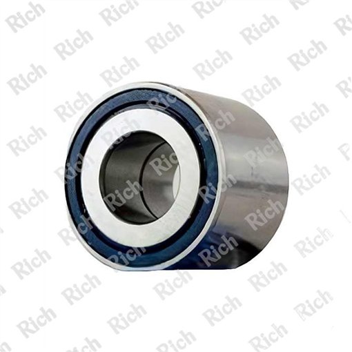R 40887 RICH 25x55x53,5