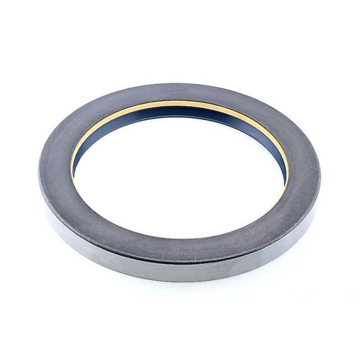 Oil Seal RICH 130x170x16 COMBI NBR