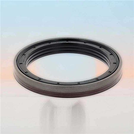 Paraolio FPM RICH 85x110x13 KASSETTE