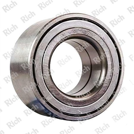 RA-0831 ZZ RICH 40x76x38
