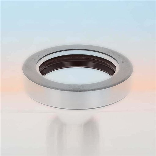 Oil Seal RICH 58x82x16 COMBI FPM