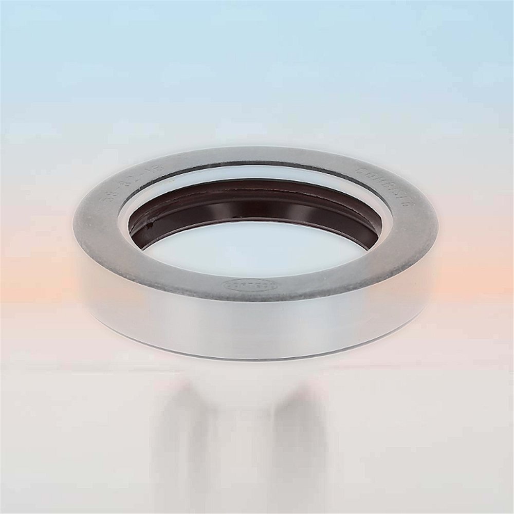 Oil Seal RICH 58x82x16 COMBI FPM