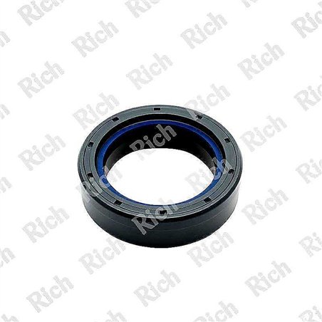 Paraolio RICH 37x52x16 COMBI NBR