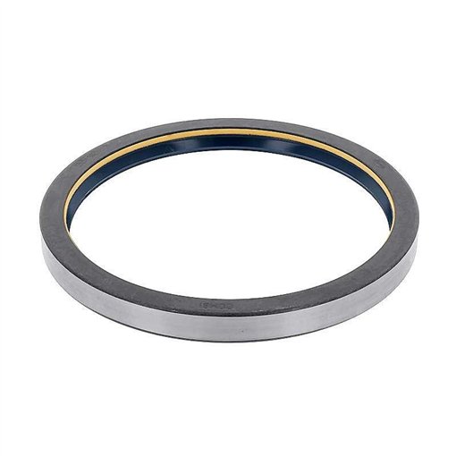 Oil Seal RICH 165x190x17 COMBI NBR