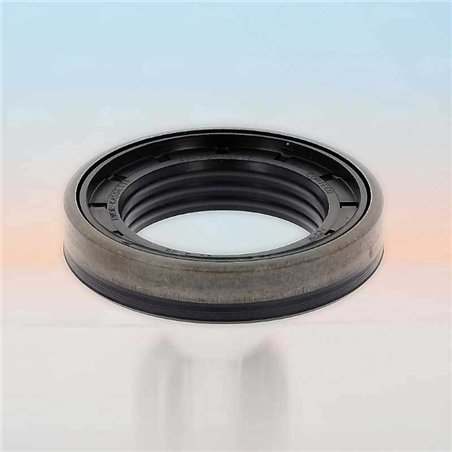 Paraolio RICH 48x75x14 KASSETTE NBR
