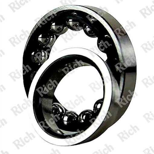 F-239513.01 RICH 40,98x78x17,5