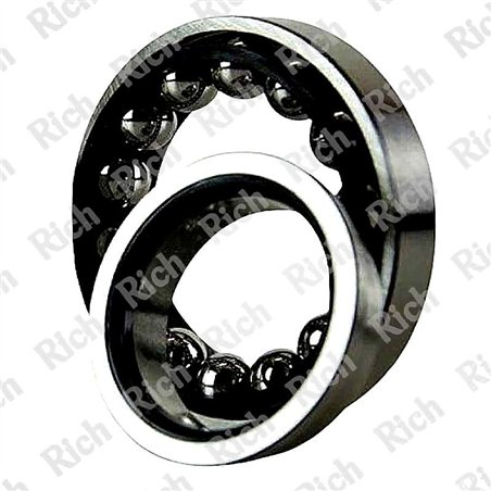F-239513.01 RICH 40,98x78x17,5